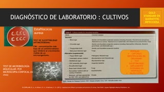 DIAGNÓSTICO DE LABORATORIO : CULTIVOS
Estafilococos
aureus
GOLD
STANDARD DX
QUERATITIS
INFECCIOSA
TEST DE MICROBIOLOGÍA
MOLECULAR: PCR
MICROSCOPIA CONFOCAL (in
vivo)
VENTAJAS
 CAPTURA E
IDENTIFICACIÓN DEL
ORGANISMO.
 TEST
SUCEPTIBILIDAD.
 AMPLIAMENTE
EXTENDIDO EN
HOSPITALES.
 BAJOS COSTOS
TEST DE SUCEPTIBILIDAD
ANTIMICROBIANA:
CIM : concentración más
baja de un antimicrobiano
que inhibirá el crecimiento
visible de un
microorganismo.
IN COPELAND, R. A., In Afshari, N. A., & Dohlman, C. H. (2013). Copeland and Afshari's principles and practice of cornea. New Delhi: Jaypee-Highlights Medical Publishers, Inc.
 