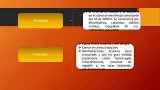 TOGAVIRUS
FLAVIVIRUS
 Causa Fiebre Amarilla y del dengue
 Común en áreas tropicales
 Manifestaciones oculares poco
frecuentes y son en gran medida
posteriores como hemorragias
intrarretinianas, manchas de
algodón y, en raras ocasiones,
afectación foveal
 El virus de la rubeola si se adquiere
en el útero se manifiesta como parte
del SX de TORCH. Se caracteriza por
Microftalmos, cataratas, neblina
corneal, hipoplasia de iris,
iridociclitis, glaucoma.
 