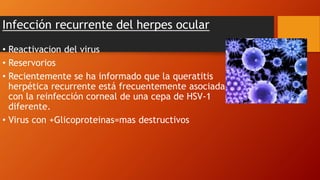 Infección recurrente del herpes ocular
• Reactivacion del virus
• Reservorios
• Recientemente se ha informado que la queratitis
herpética recurrente está frecuentemente asociada
con la reinfección corneal de una cepa de HSV-1
diferente.
• Virus con +Glicoproteinas=mas destructivos
 