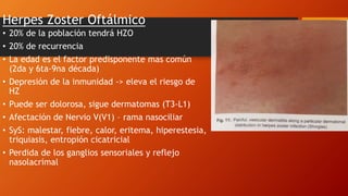 Herpes Zoster Oftálmico
• 20% de la población tendrá HZO
• 20% de recurrencia
• La edad es el factor predisponente mas común
(2da y 6ta-9na década)
• Depresión de la inmunidad -> eleva el riesgo de
HZ
• Puede ser dolorosa, sigue dermatomas (T3-L1)
• Afectación de Nervio V(V1) – rama nasociliar
• SyS: malestar, fiebre, calor, eritema, hiperestesia,
triquiasis, entropión cicatricial
• Perdida de los ganglios sensoriales y reflejo
nasolacrimal
 