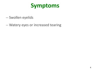 4
Symptoms
-- Swollen eyelids
-- Watery eyes or increased tearing
 