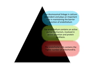 The desmosomal linkage is calcium
dependent and plays an important
role in maintaining the barrier
function of endothelium
The endothelium contains an active
pump mechanism, involved in
active secretion and protein
synthesis.
The endothelial cells contains the
higher number of mitochondria.
 