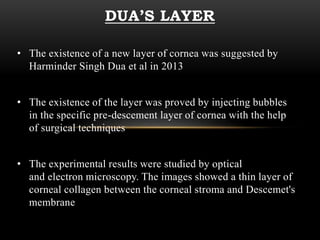 DUA’S LAYER 
• The existence of a new layer of cornea was suggested by 
Harminder Singh Dua et al in 2013 
• The existence of the layer was proved by injecting bubbles 
in the specific pre-descement layer of cornea with the help 
of surgical techniques 
• The experimental results were studied by optical 
and electron microscopy. The images showed a thin layer of 
corneal collagen between the corneal stroma and Descemet's 
membrane 
 