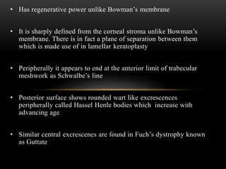 • Has regenerative power unlike Bowman’s membrane 
• It is sharply defined from the corneal stroma unlike Bowman’s 
membrane. There is in fact a plane of separation between them 
which is made use of in lamellar keratoplasty 
• Peripherally it appears to end at the anterior limit of trabecular 
meshwork as Schwalbe’s line 
• Posterior surface shows rounded wart like excrescences 
peripherally called Hassel Henle bodies which increase with 
advancing age 
• Similar central excrescenes are found in Fuch’s dystrophy known 
as Guttate 
 