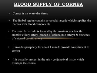 BLOOD SUPPLY OF CORNEA 
• Cornea is an avascular tissue 
• The limbal region contains a vascular arcade which supplies the 
cornea with blood components 
• The vascular arcade is formed by the anastamoses b/w the 
anterior ciliary artery (branch of ophthalmic artery) & branches 
of external carotid artery 
• It invades periphery for about 1 mm & provide nourishment to 
cornea 
• It is actually present in the sub - conjunctival tissue which 
overlaps the cornea 
 