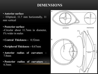 DIMENSIONS 
• Anterior surface 
– Elliptical, 11.7 mm horizontally, 11 
mm vertical 
• Posterior surface 
–Circular about 11.7mm in diameter, 
1% wider in males 
• Central Thickness – 0.52mm 
• Peripheral Thickness – 0.67mm 
• Anterior radius of curvature – 
7.8mm 
• Posterior radius of curvature – 
6.5mm 
 