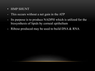 • HMP SHUNT 
- This occurs without a net gain in the ATP 
- Its purpose is to produce NADPH which is utilized for the 
biosynthesis of lipids by corneal epithelium 
- Ribose produced may be used to build DNA & RNA 
 