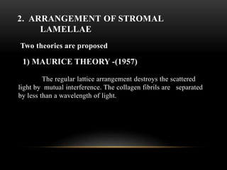2. ARRANGEMENT OF STROMAL 
LAMELLAE 
Two theories are proposed 
1) MAURICE THEORY -(1957) 
The regular lattice arrangement destroys the scattered 
light by mutual interference. The collagen fibrils are separated 
by less than a wavelength of light. 
 