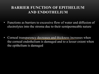 BARRIER FUNCTION OF EPITHELIUM 
AND ENDOTHELIUM 
• Functions as barriers to excessive flow of water and diffusion of 
electrolytes into the stroma due to their semipermeable nature 
• Corneal transparency decreases and thickness increases when 
the corneal endothelium is damaged and to a lesser extent when 
the epithelium is damaged 
 