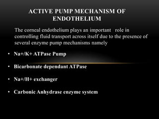 ACTIVE PUMP MECHANISM OF 
ENDOTHELIUM 
The corneal endothelium plays an important role in 
controlling fluid transport across itself due to the presence of 
several enzyme pump mechanisms namely 
• Na+/K+ ATPase Pump 
• Bicarbonate dependant ATPase 
• Na+/H+ exchanger 
• Carbonic Anhydrase enzyme system 
 