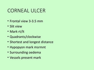 Tells about corneal colour coding ,and depicting there images | PPTX