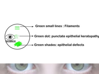 Eye colour coding | PPTX