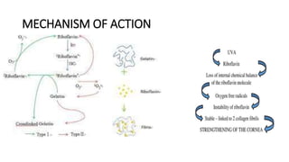 MECHANISM OF ACTION
 