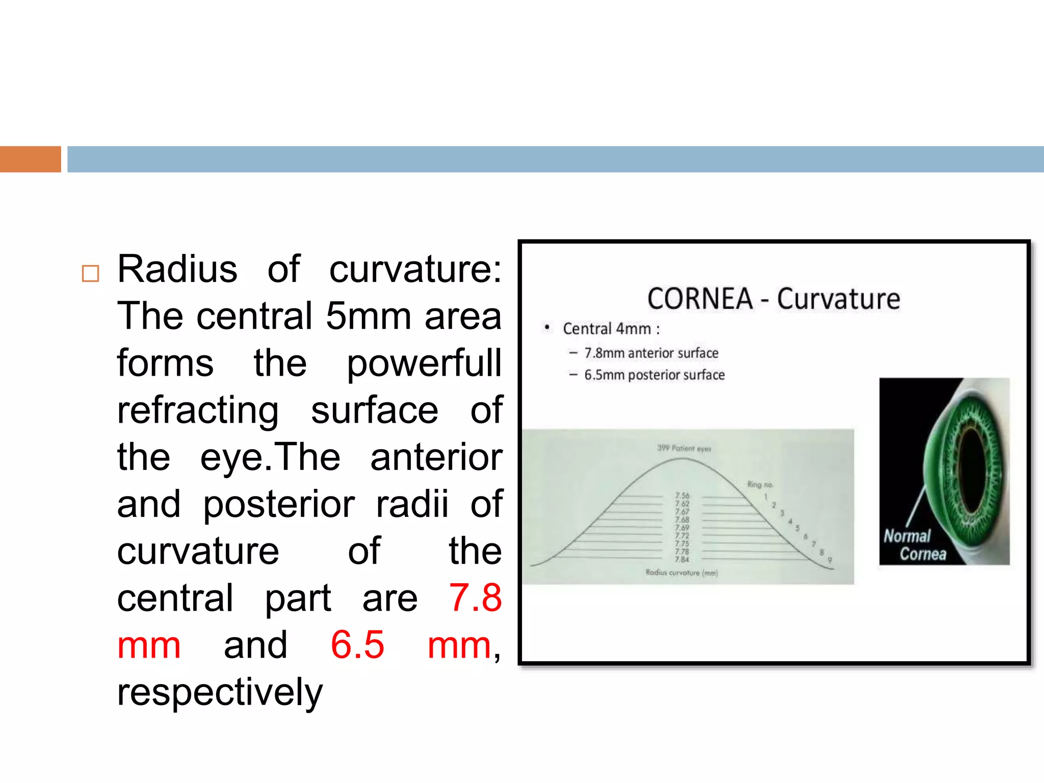 Corneal curvature and thickness