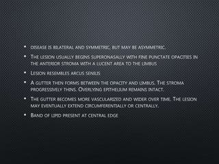 •
•
•
•
•
•
 