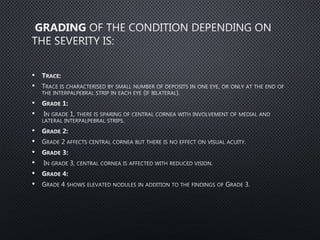 •
•
•
•
•
•
•
•
•
•
 