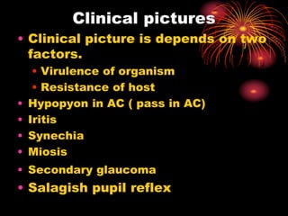 Clinical pictures
• Clinical picture is depends on two
factors.
• Virulence of organism
• Resistance of host
• Hypopyon in AC ( pass in AC)
• Iritis
• Synechia
• Miosis
• Secondary glaucoma
• Salagish pupil reflex
 