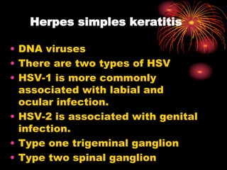 Herpes simples keratitis
• DNA viruses
• There are two types of HSV
• HSV-1 is more commonly
associated with labial and
ocular infection.
• HSV-2 is associated with genital
infection.
• Type one trigeminal ganglion
• Type two spinal ganglion
 