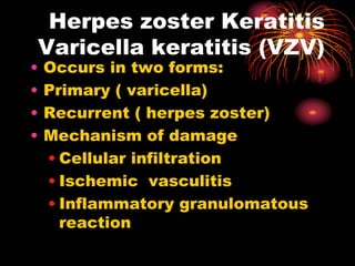 Herpes zoster Keratitis
Varicella keratitis (VZV)
• Occurs in two forms:
• Primary ( varicella)
• Recurrent ( herpes zoster)
• Mechanism of damage
• Cellular infiltration
• Ischemic vasculitis
• Inflammatory granulomatous
reaction
 