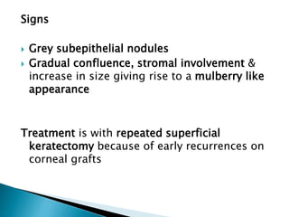 Signs
 Grey subepithelial nodules
 Gradual confluence, stromal involvement &
increase in size giving rise to a mulberry like
appearance
Treatment is with repeated superficial
keratectomy because of early recurrences on
corneal grafts
 