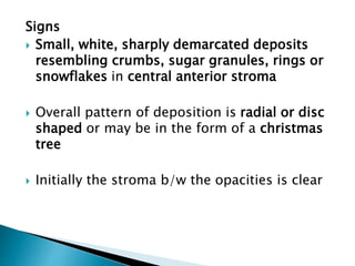 Signs
 Small, white, sharply demarcated deposits
resembling crumbs, sugar granules, rings or
snowflakes in central anterior stroma
 Overall pattern of deposition is radial or disc
shaped or may be in the form of a christmas
tree
 Initially the stroma b/w the opacities is clear
 
