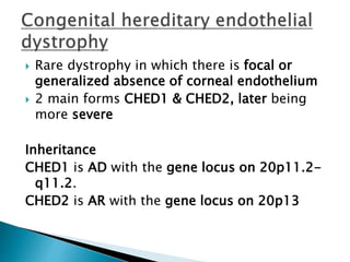  Rare dystrophy in which there is focal or
generalized absence of corneal endothelium
 2 main forms CHED1 & CHED2, later being
more severe
Inheritance
CHED1 is AD with the gene locus on 20p11.2-
q11.2.
CHED2 is AR with the gene locus on 20p13
 