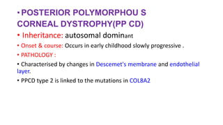 • POSTERIOR POLYMORPHOU S
CORNEAL DYSTROPHY(PP CD)
• Inheritance: autosomal dominant
• Onset & course: Occurs in early childhood slowly progressive .
• PATHOLOGY :
• Characterised by changes in Descemet's membrane and endothelial
layer.
• PPCD type 2 is linked to the mutations in COL8A2
 