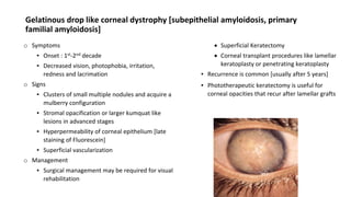 Gelatinous drop like corneal dystrophy [subepithelial amyloidosis, primary
familial amyloidosis]
o Symptoms
▪ Onset : 1st-2nd decade
▪ Decreased vision, photophobia, irritation,
redness and lacrimation
o Signs
▪ Clusters of small multiple nodules and acquire a
mulberry configuration
▪ Stromal opacification or larger kumquat like
lesions in advanced stages
▪ Hyperpermeability of corneal epithelium [late
staining of Fluorescein]
▪ Superficial vascularization
o Management
▪ Surgical management may be required for visual
rehabilitation
 Superficial Keratectomy
 Corneal transplant procedures like lamellar
keratoplasty or penetrating keratoplasty
▪ Recurrence is common [usually after 5 years]
▪ Phototherapeutic keratectomy is useful for
corneal opacities that recur after lamellar grafts
 
