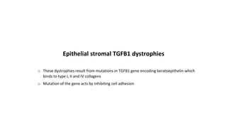 Epithelial stromal TGFB1 dystrophies
o These dystrophies result from mutations in TGFB1 gene encoding keratoepithelin which
binds to type I, II and IV collagens
o Mutation of the gene acts by inhibiting cell adhesion
 