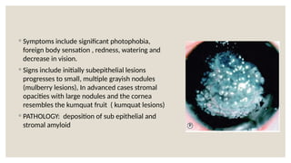 ◦ Symptoms include significant photophobia,
foreign body sensation , redness, watering and
decrease in vision.
◦ Signs include initially subepithelial lesions
progresses to small, multiple grayish nodules
(mulberry lesions), In advanced cases stromal
opacities with large nodules and the cornea
resembles the kumquat fruit ( kumquat lesions)
◦ PATHOLOGY: deposition of sub epithelial and
stromal amyloid
 