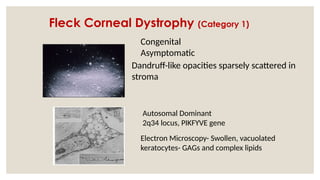 Autosomal Dominant
2q34 locus, PIKFYVE gene
Congenital
Asymptomatic
Dandruff-like opacities sparsely scattered in
stroma
Electron Microscopy- Swollen, vacuolated
keratocytes- GAGs and complex lipids
Fleck Corneal Dystrophy (Category 1)
 