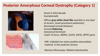 Autosomal Dominant
12q21.33 locus, (KERA), (LUM), (DCN), (EPYC) gene
Onset in third decade
Asymptomatic
Diffuse gray-white sheet-like opacities in any layer
of stroma (most prominent posteriorly)
Decreased corneal thickness
Corneal flattening
HPE- Colloidal iron stains positive extracellular
material in the posterior stroma
Posterior Amorphous Corneal Dystrophy (Category 1)
Electron Microscopy- Dilated mitochondria
 