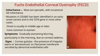Fuchs Endothelial Corneal Dystrophy (FECD)
◦ Inheritance -- Most are sporadic, with occasional
AD inheritance.
◦ Mutation in COL8A2 has been identified in an early
onset variant and in the TCF4 gene in most other
cases.
Onset is usually in middle age or later.
more common in women
Symptoms: Gradually worsening blurring,
particularly in the morning, due to corneal oedema.
Signs : Cornea guttata-- the presence of irregular
warts or ‘excrescences’ on Descemet membrane
secreted by abnormal endothelial cells
 