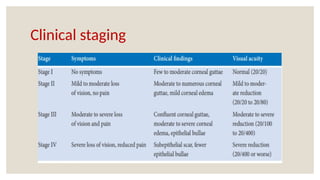 Clinical staging
 