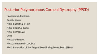 Posterior Polymorphous Corneal Dystrophy (PPCD)
◦ Autosomal dominant.
Genetic Locus
PPCD 1: 20p11.2-q11.2.
PPCD 2: 1p34.3-p32.3.
PPCD 3: 10p11.22.
Gene
PPCD1: unknown.
PPCD2: mutation in COL8A2.
PPCD 3: mutation of zinc finger E box–binding homeobox 1 (ZEB1).
 