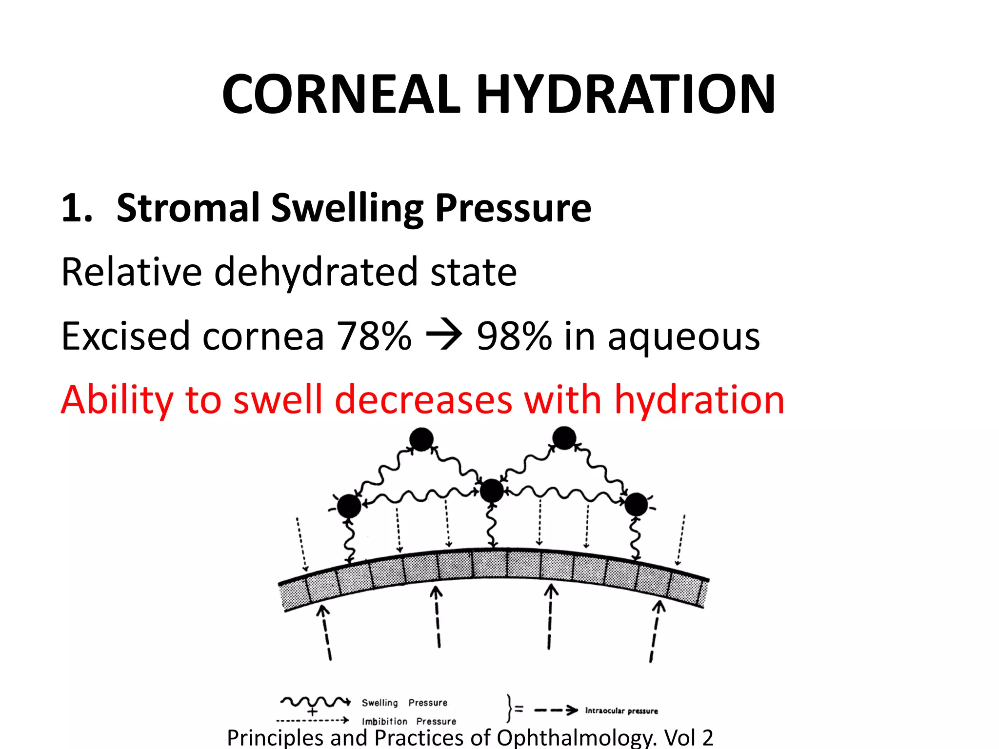 CORNEAL HYDRATION
1. Stromal Swelling Pressure
Relative dehydrated state
Excised cornea 78%  98% in aqueous
Ability to swell decreases with hydration
Principles and Practices of Ophthalmology. Vol 2
 