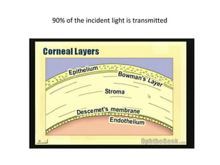 Corneal Physiology
Through Numbers
Mohammed Bilal Khalil
22/9/2016
90% of the incident light is transmitted
 