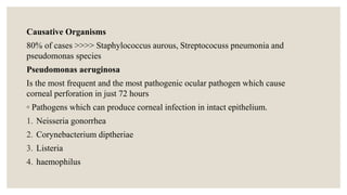 Causative Organisms
80% of cases >>>> Staphylococcus aurous, Streptococuss pneumonia and
pseudomonas species
Pseudomonas aeruginosa
Is the most frequent and the most pathogenic ocular pathogen which cause
corneal perforation in just 72 hours
◦ Pathogens which can produce corneal infection in intact epithelium.
1. Neisseria gonorrhea
2. Corynebacterium diptheriae
3. Listeria
4. haemophilus
 