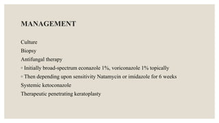 MANAGEMENT
Culture
Biopsy
Antifungal therapy
◦ Initially broad-spectrum econazole 1%, voriconazole 1% topically
◦ Then depending upon sensitivity Natamycin or imidazole for 6 weeks
Systemic ketoconazole
Therapeutic penetrating keratoplasty
 
