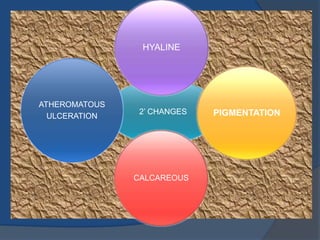 2’ CHANGES
HYALINE
PIGMENTATION
CALCAREOUS
ATHEROMATOUS
ULCERATION
 