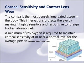 Corneal tissue fragility
Reduced epithelial adhesion is found following contact lens
wear. It is related to the reduced nu...