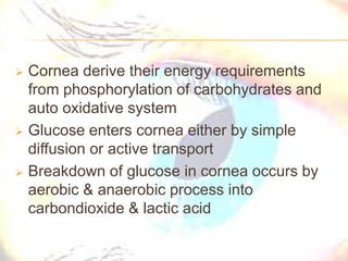  Cornea derive their energy requirements
from phosphorylation of carbohydrates and
auto oxidative system
 Glucose enters cornea either by simple
diffusion or active transport
 Breakdown of glucose in cornea occurs by
aerobic & anaerobic process into
carbondioxide & lactic acid
 