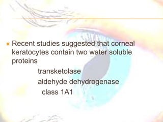  Recent studies suggested that corneal
keratocytes contain two water soluble
proteins
transketolase
aldehyde dehydrogenase
class 1A1
 