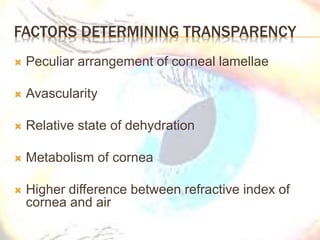 FACTORS DETERMINING TRANSPARENCY
 Peculiar arrangement of corneal lamellae
 Avascularity
 Relative state of dehydration
 Metabolism of cornea
 Higher difference between refractive index of
cornea and air
 