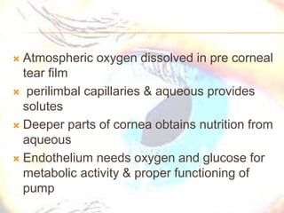  Atmospheric oxygen dissolved in pre corneal
tear film
 perilimbal capillaries & aqueous provides
solutes
 Deeper parts of cornea obtains nutrition from
aqueous
 Endothelium needs oxygen and glucose for
metabolic activity & proper functioning of
pump
 