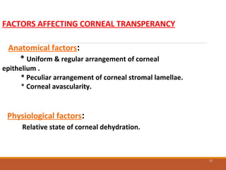 17
FACTORS AFFECTING CORNEAL TRANSPERANCY
Anatomical factors:
* Uniform & regular arrangement of corneal
epithelium .
* Peculiar arrangement of corneal stromal lamellae.
* Corneal avascularity.
Physiological factors:
Relative state of corneal dehydration.
 
