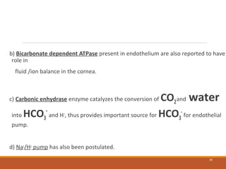 b) Bicarbonate dependent ATPase present in endothelium are also reported to have
role in
fluid /ion balance in the cornea.
c) Carbonic enhydrase enzyme catalyzes the conversion of CO2and water
into HCO3
-
and H+
, thus provides important source for HCO3
-
for endothelial
pump.
d) Na+
/H+
pump has also been postulated.
39
 
