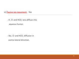 iv) Passive ion movement, like
- K+
, Cl-
and HCO3
-
ions diffuse into
aqueous humor.
- Na+
, Cl-
and HCO3
-
diffusion in
contra lateral direction.
42
 