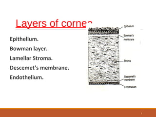 Layers of cornea
Epithelium.
Bowman layer.
Lamellar Stroma.
Descemet’s membrane.
Endothelium.
7
 