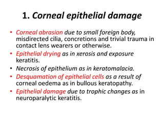 1. Corneal epithelial damage
• Corneal abrasion due to small foreign body,
misdirected cilia, concretions and trivial trauma in
contact lens wearers or otherwise.
• Epithelial drying as in xerosis and exposure
keratitis.
• Necrosis of epithelium as in keratomalacia.
• Desquamation of epithelial cells as a result of
corneal oedema as in bullous keratopathy.
• Epithelial damage due to trophic changes as in
neuroparalytic keratitis.
 